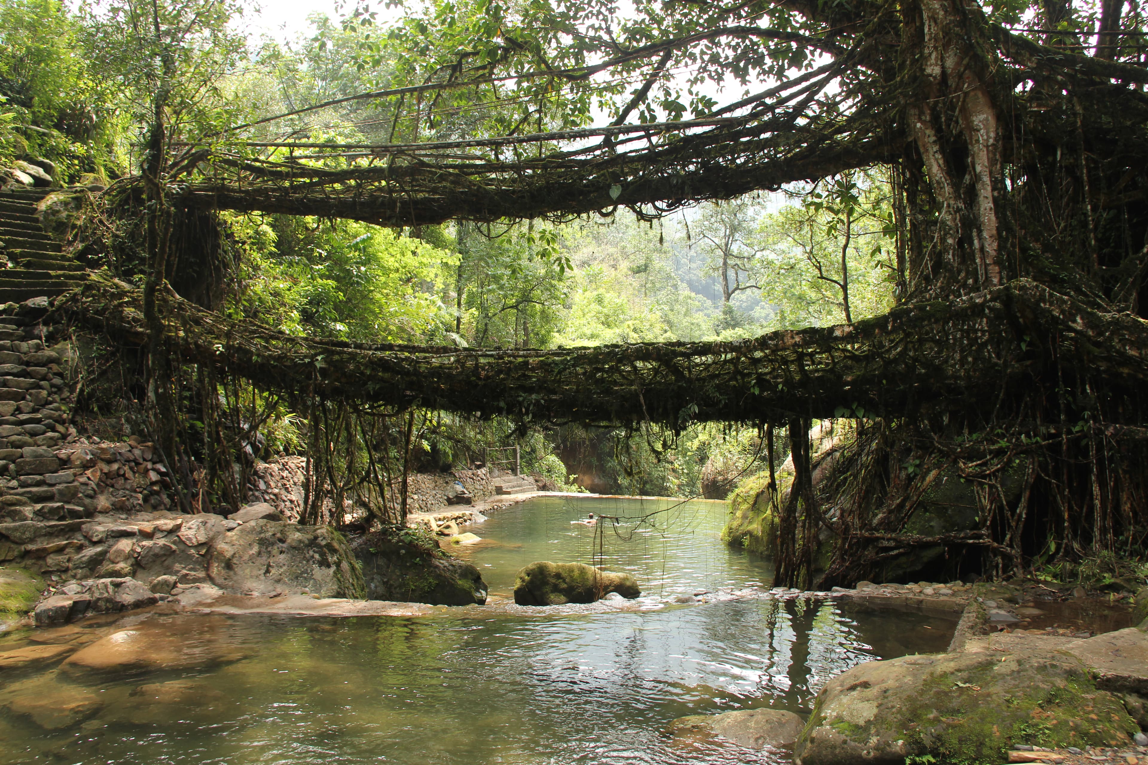 Living Root Bridges Trek